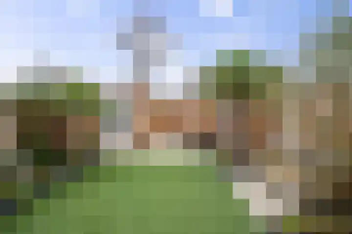 Op den Hof 4 Olst thumbnail 30