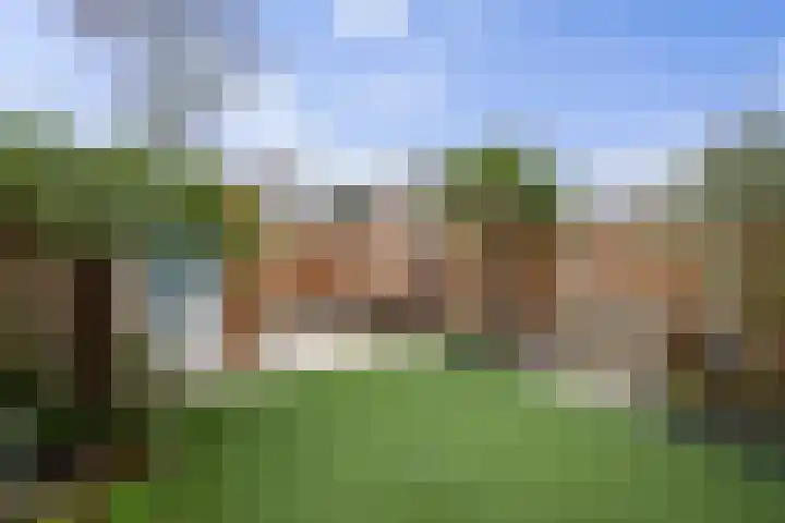 Op den Hof 4 Olst thumbnail 31