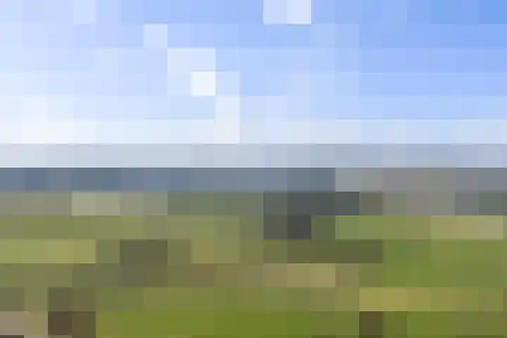 Op den Hof 4 Olst thumbnail 36