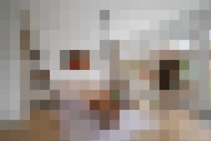 Op den Hof 4 Olst thumbnail 5