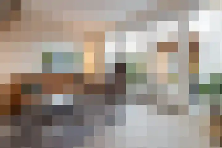 Op den Hof 5 Olst thumbnail 6