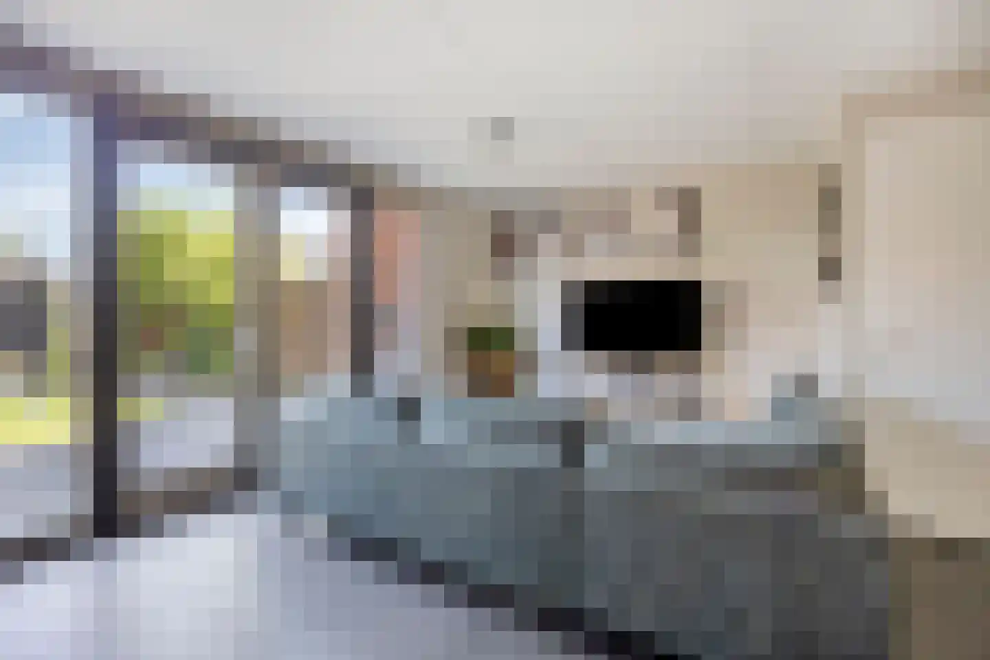 Op den Hul 18 Heerde thumbnail 10