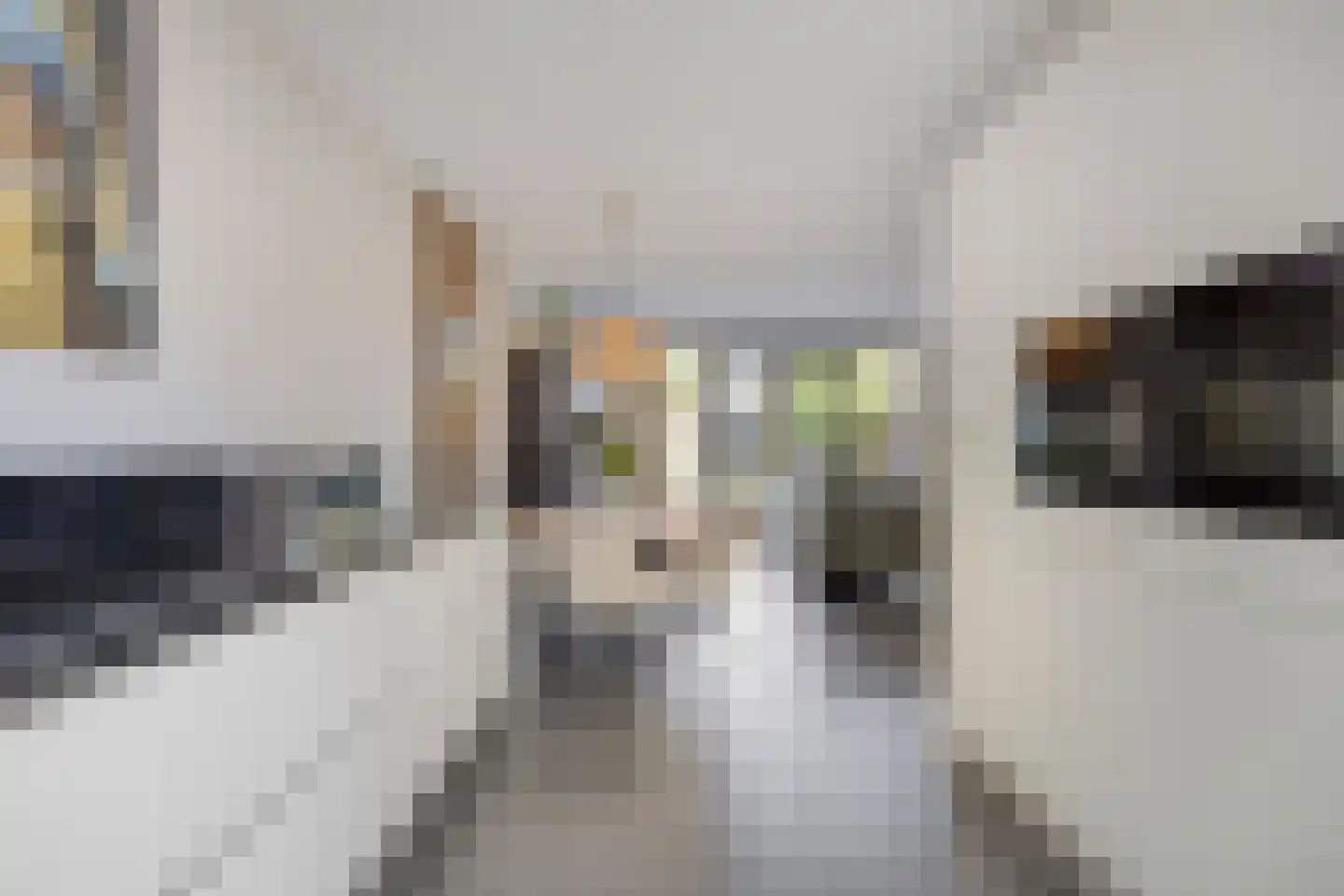 Op den Hul 18 Heerde thumbnail 17