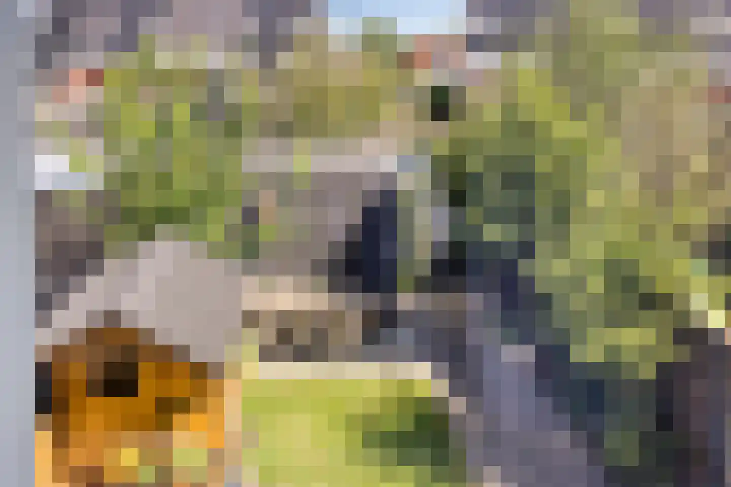 Op den Hul 18 Heerde thumbnail 23
