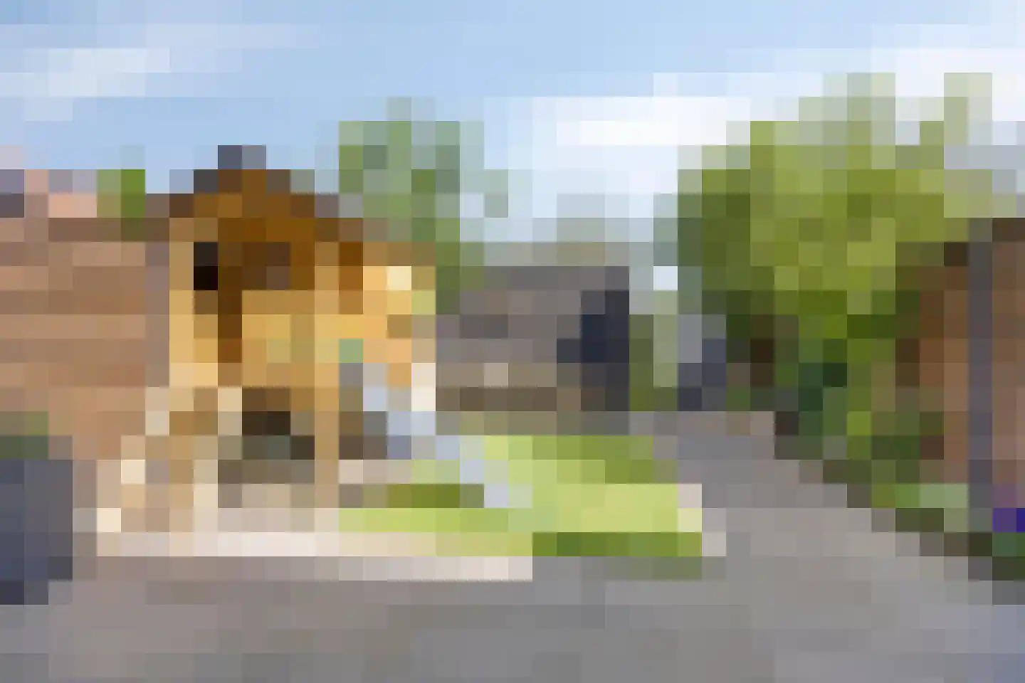 Op den Hul 18 Heerde thumbnail 36