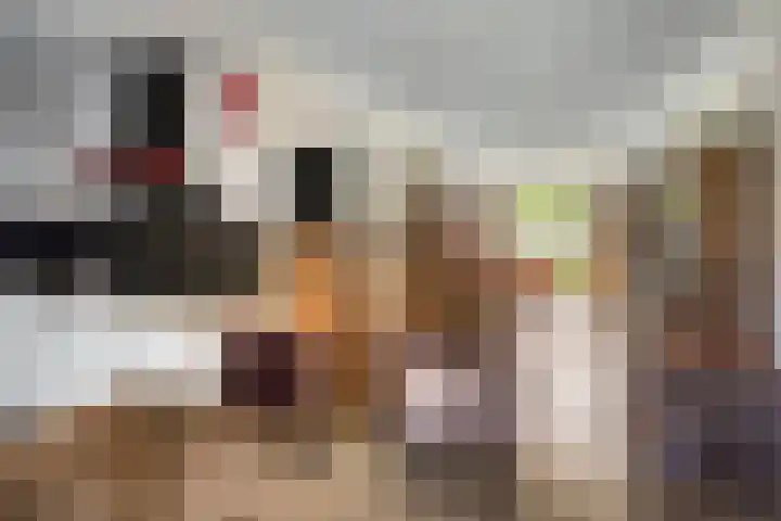 Op den Hul 6 Heerde thumbnail 10