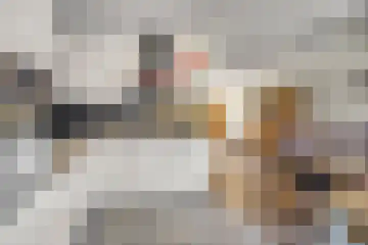 Op den Hul 6 Heerde thumbnail 14