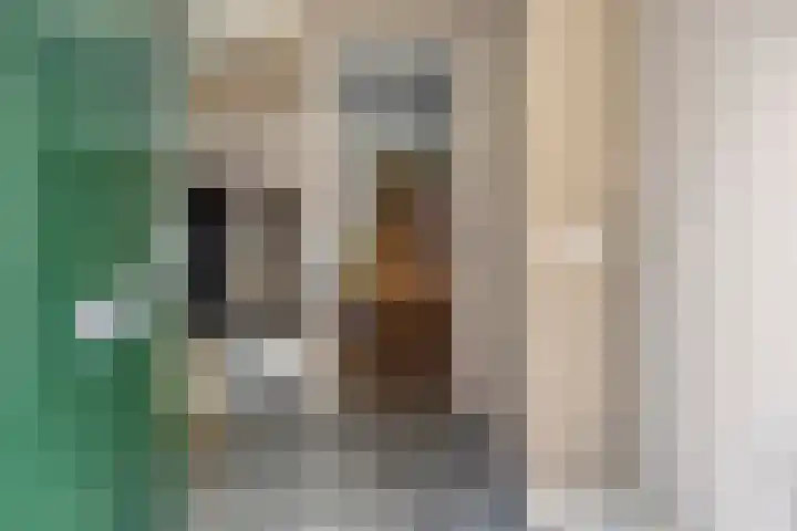 Op den Hul 6 Heerde thumbnail 17