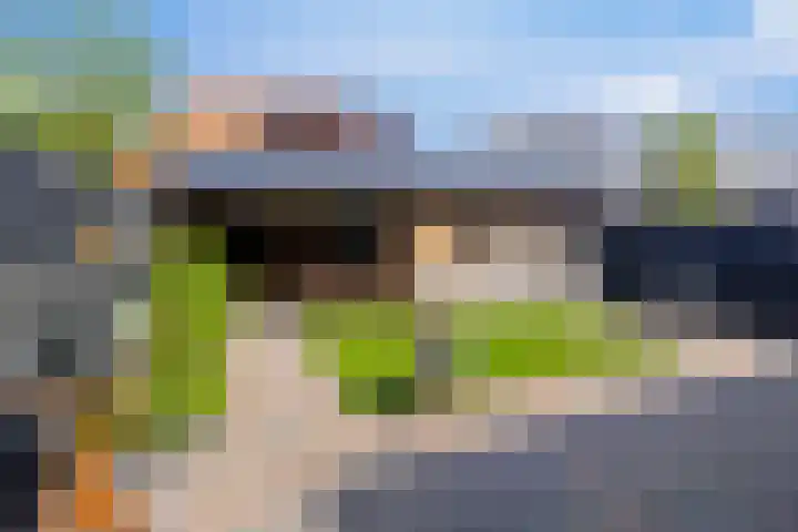 Op den Hul 6 Heerde foto 2