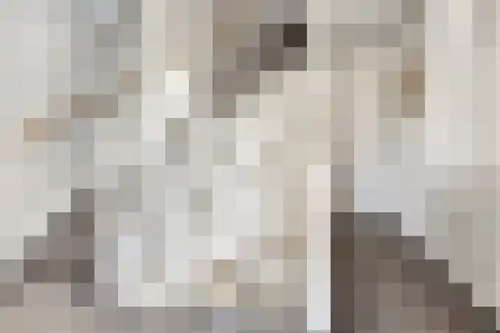 Op den Hul 6 Heerde thumbnail 26