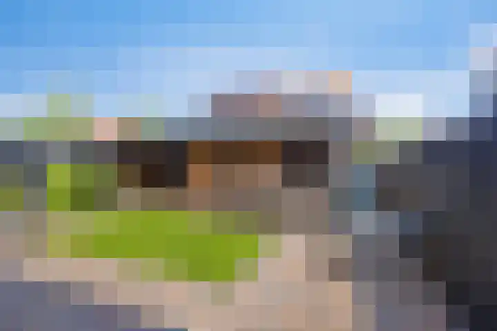 Op den Hul 6 Heerde thumbnail 30