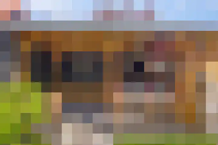 Op den Hul 6 Heerde thumbnail 38