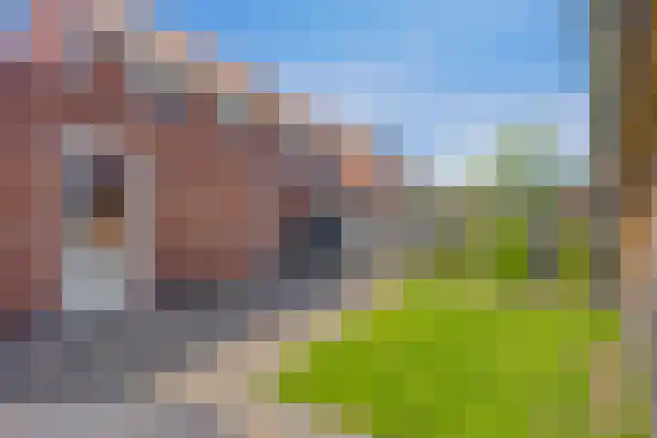 Op den Hul 6 Heerde thumbnail 39