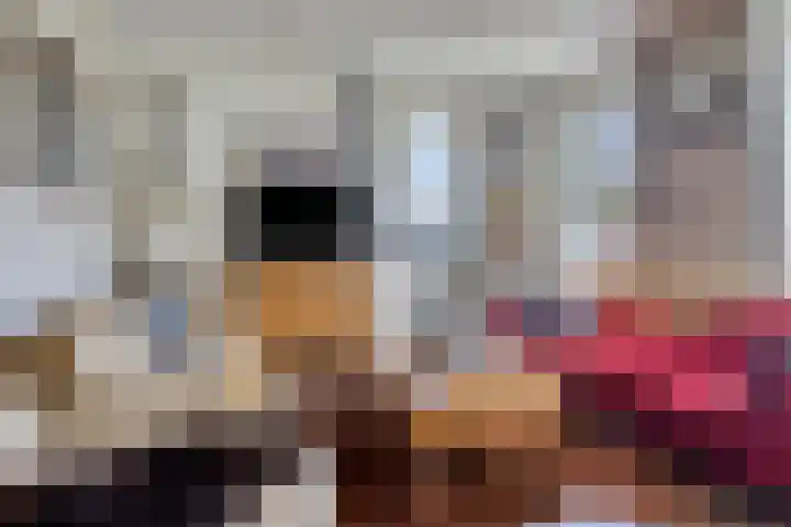 Op den Hul 6 Heerde thumbnail 4