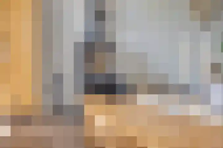 Op den Hul 6 Heerde thumbnail 6
