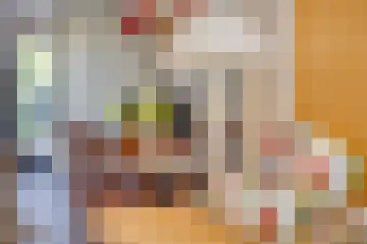 Op den Koem 28 Oldenzaal thumbnail 10