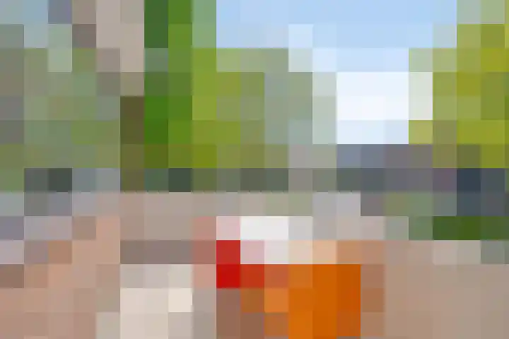 Op den Koem 28 Oldenzaal thumbnail 14