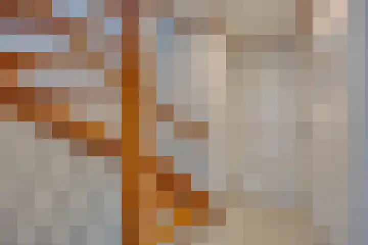 Op den Koem 28 Oldenzaal thumbnail 15