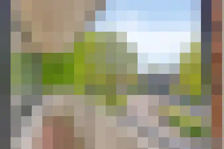 Op den Koem 28 Oldenzaal thumbnail 23