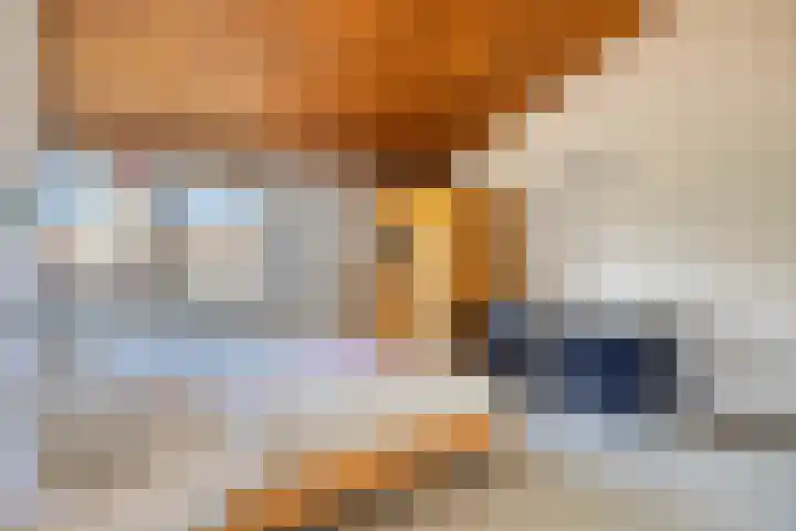 Op den Koem 28 Oldenzaal thumbnail 26