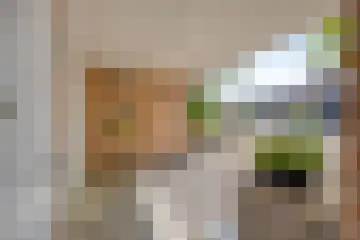 Op den Koem 28 Oldenzaal thumbnail 32