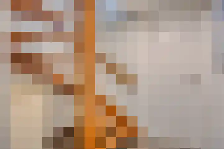 Op den Koem 28 Oldenzaal thumbnail 33