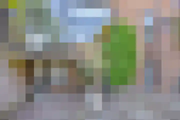 Op den Koem 28 Oldenzaal thumbnail 40