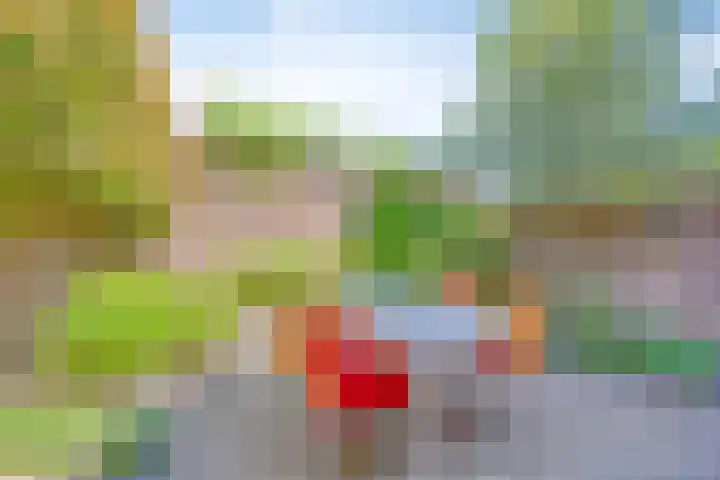 Op den Koem 28 Oldenzaal thumbnail 41
