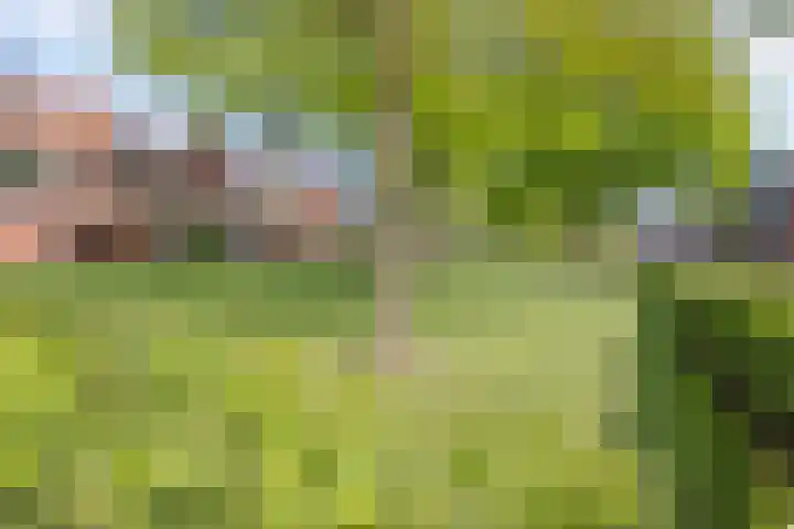 Op den Koem 28 Oldenzaal thumbnail 48