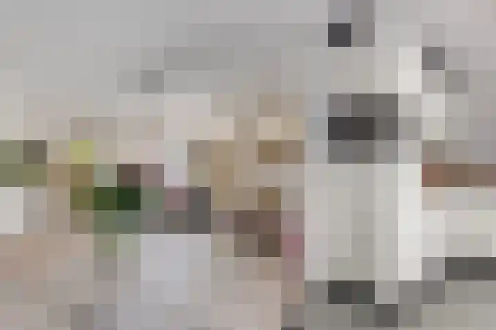Op den Koning 8 Neeritter thumbnail 10