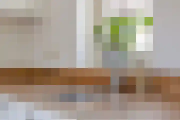 Op den Koning 8 Neeritter thumbnail 13