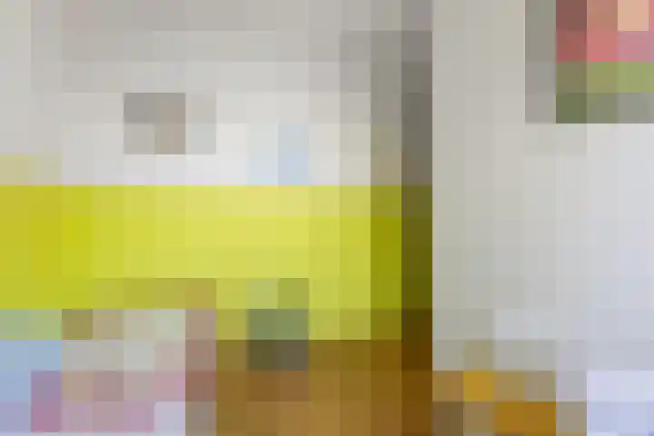 Op den Koning 8 Neeritter thumbnail 17