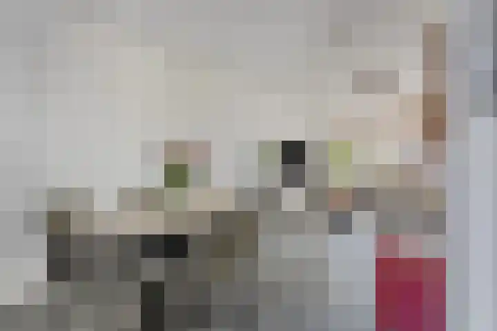 Op den Koning 8 Neeritter foto 2