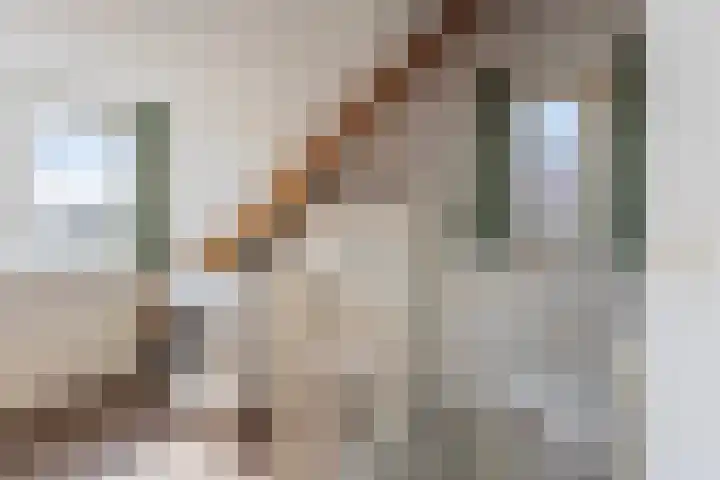 Op den Koning 8 Neeritter thumbnail 24