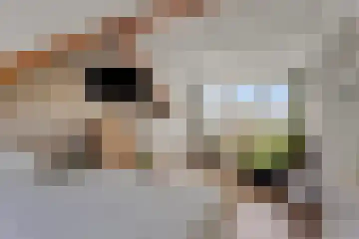 Op den Koning 8 Neeritter thumbnail 26