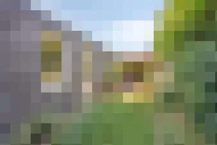 Op den Koning 8 Neeritter thumbnail 29