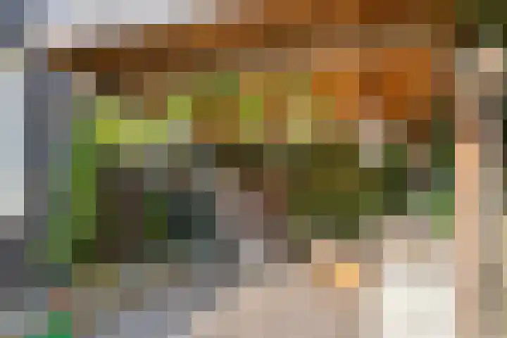 Op den Koning 8 Neeritter thumbnail 31
