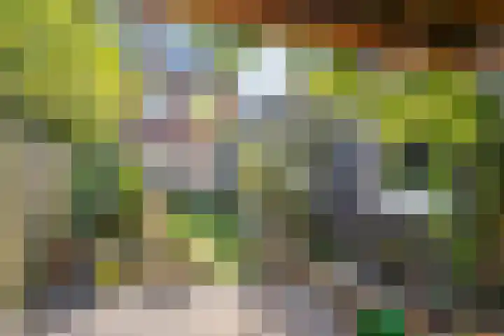 Op den Koning 8 Neeritter thumbnail 32