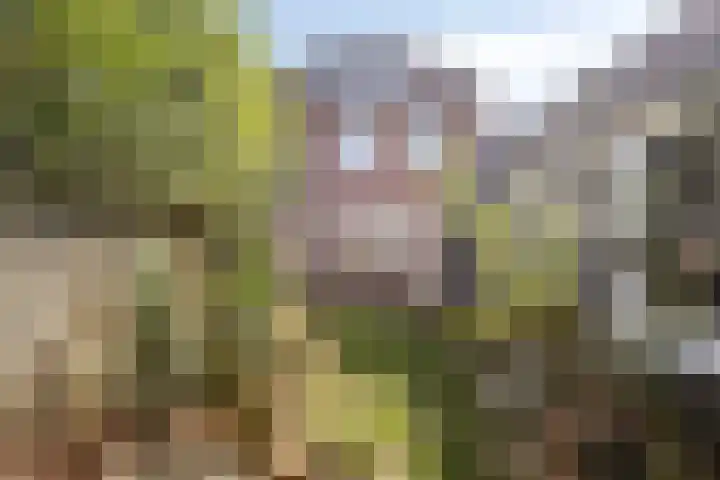 Op den Koning 8 Neeritter thumbnail 33