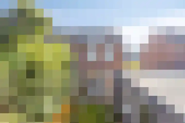Op den Koning 8 Neeritter thumbnail 34