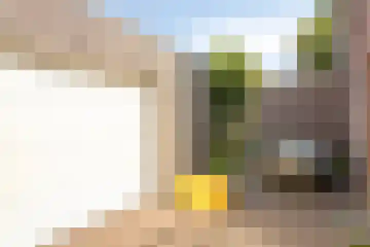 Op den Koning 8 Neeritter thumbnail 35