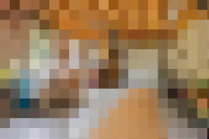Op den Koning 8 Neeritter thumbnail 37