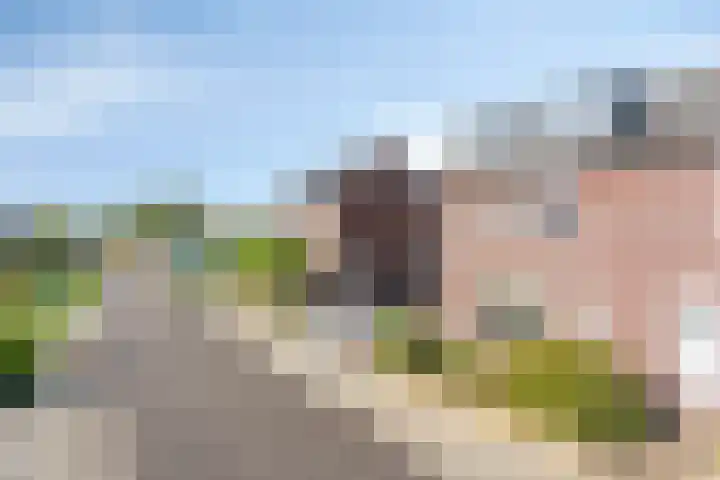 Op den Koning 8 Neeritter thumbnail 40