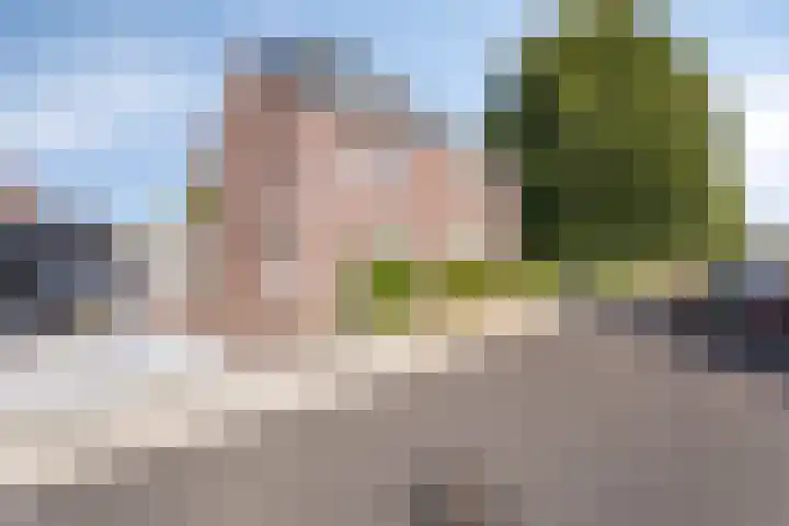 Op den Koning 8 Neeritter thumbnail 41