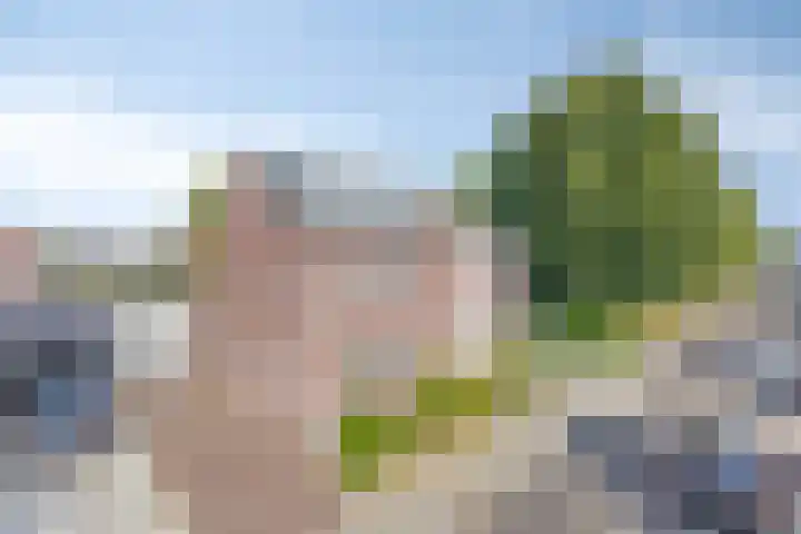 Op den Koning 8 Neeritter thumbnail 42
