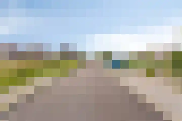 Op den Koning 8 Neeritter thumbnail 43