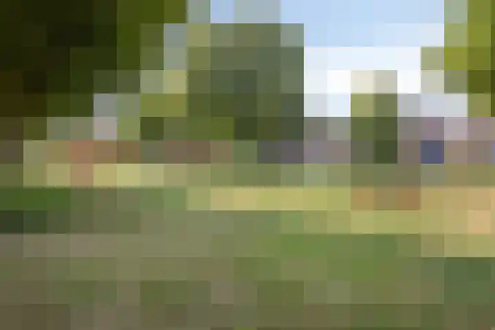 Op den Koning 8 Neeritter thumbnail 44