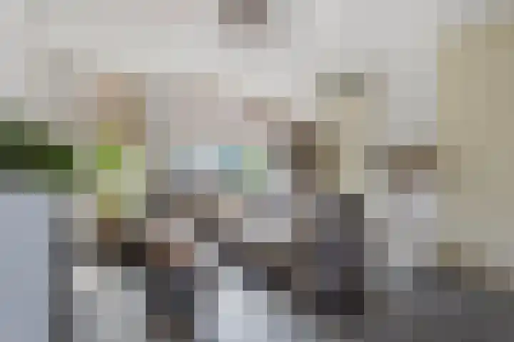 Op den Koning 8 Neeritter thumbnail 7