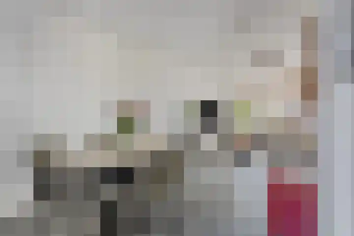Op den Koning 8 Neeritter thumbnail 9