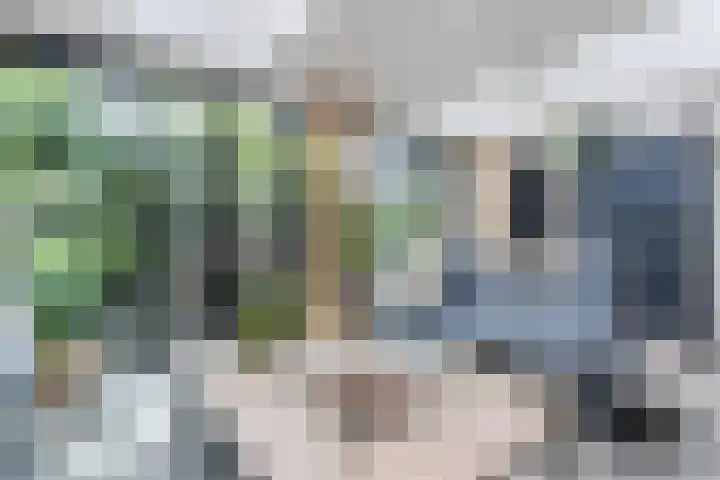 Op den Oever 37 Heerde thumbnail 26